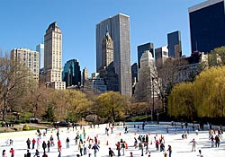 Wollman Ice Rink in Central Park