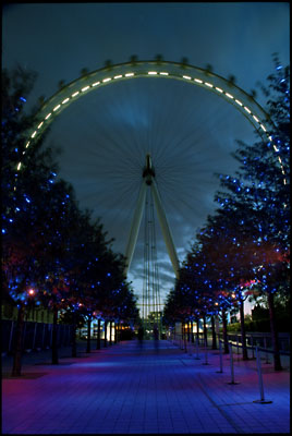 The London Eye. Night shot.