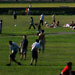 Beautiful Greenwich Park on a really hot July Sunday.