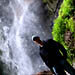Jack by a picturesque waterfall near Taxco, Mexico.