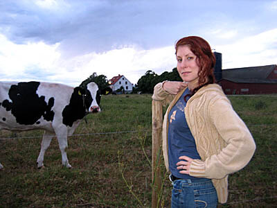 Lauri gets up close and personal with a cow for the first time. On Gotland, Sweden.