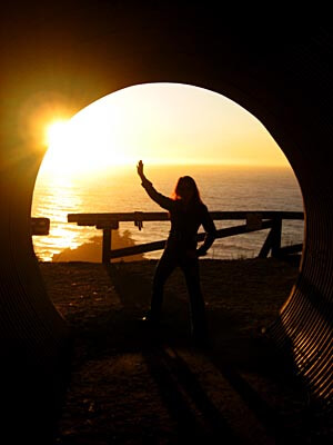Silhouette picture in Big Sur at sunset