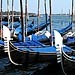 A row of gondolas on the Piazza San Marco pier in Venice, Italy.