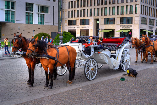 Horse and carriage near Brandenburger Tor in Berlin.