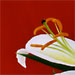 Stargazer lily on red.