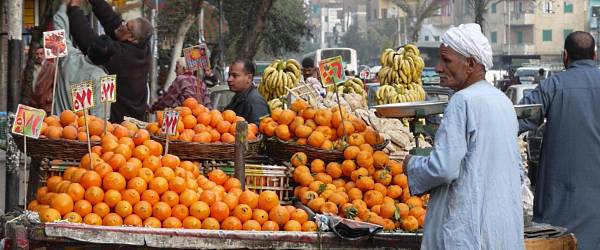 A market seller in Cairo