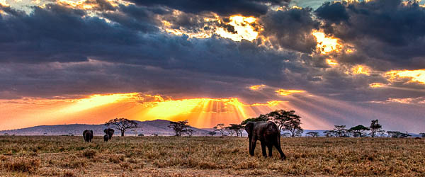 Tanzania's wilderness