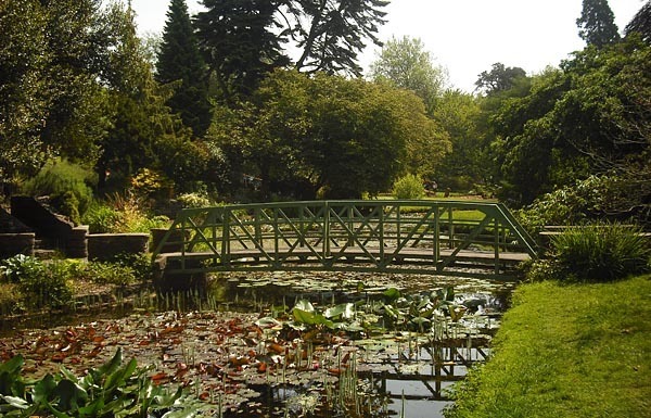 Walking bridge at pond, National Botanical Gardens, Dublin