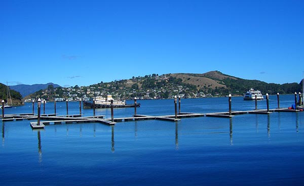 Looking out over the water from Angel Island, San Francisco