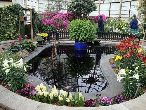 Inside the Lincoln Park Conservatory