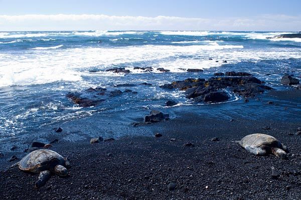 Punalu'u Black Sand Beach