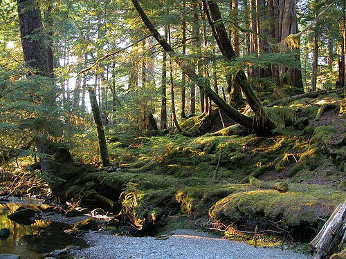 Gwaii Haana National Park, British Columbia, Canada