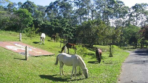 sabana-park-costa-rica-travel