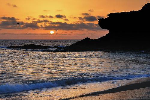 Beach in Fuerteventura at sunset