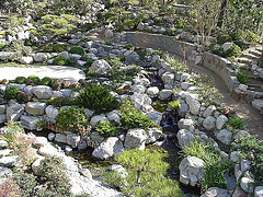 The James Irvine Japanese Garden