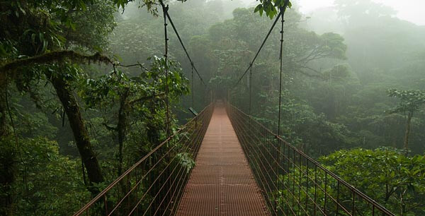 Bridge in the Monteverde Reserve, Costa Rica