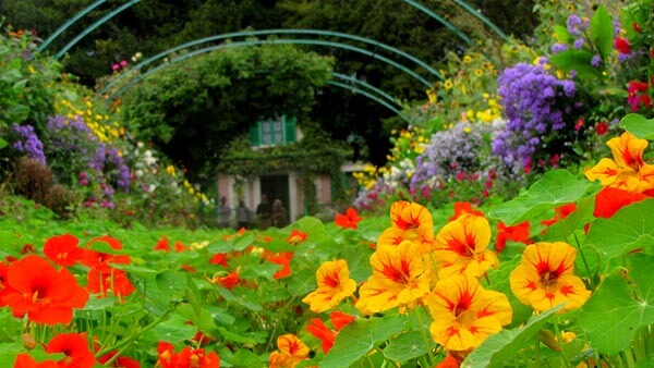 Monet's Garden in Giverny, France