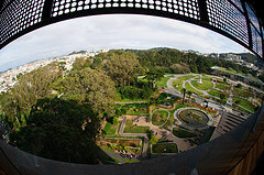 View from the de Young Museum tower