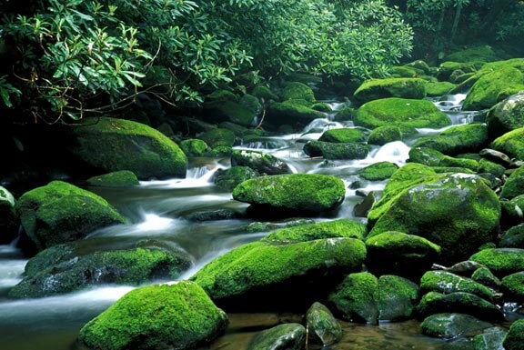 Roaring Fork stream in Smoky Mountains National Park