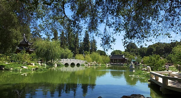 The Huntington Gardens at the Huntington Library, San Marino, CA