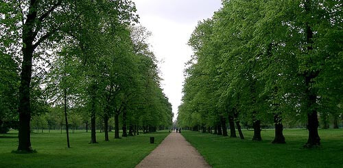 Kensington park, London