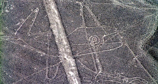 Nazca Lines in the shape of a whale