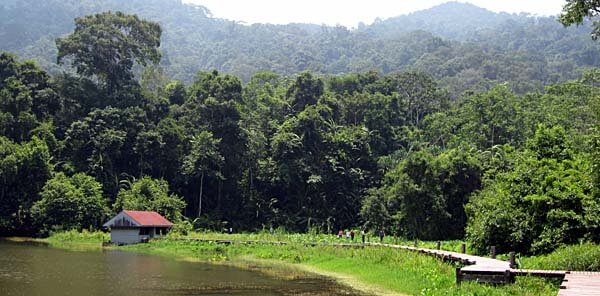 The Thale Ban Park in Thailand