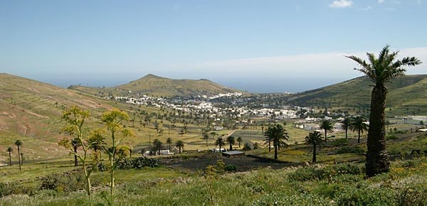 Valley of 1000 Palms in Lanzarote