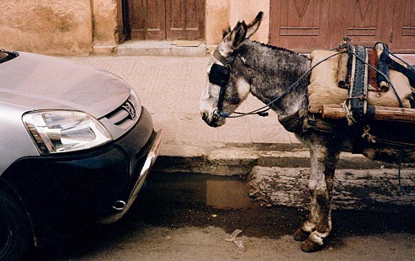 Street scene in Marrakech