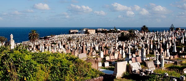 View from Waverley Cemetery