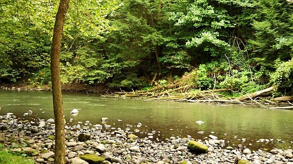 Creek in Mohican State Park