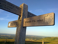 Way sign on the South Downs Way