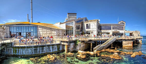 The Monterey Bay Aquarium