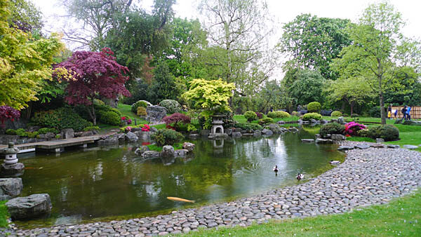 The pond in Kyoto Gardens, London