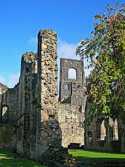 Outside the Kirkstall Abbey