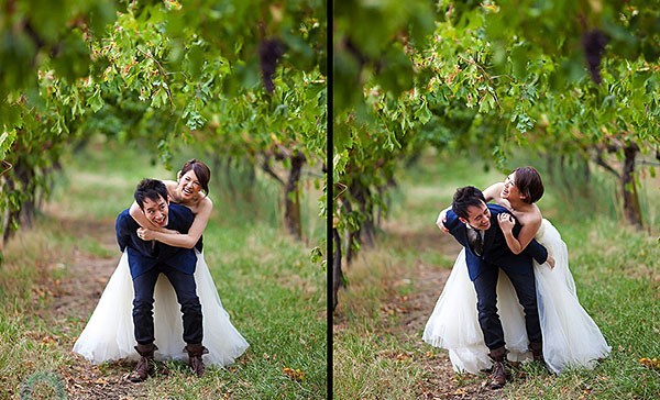 Wedding in a wineyard