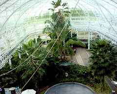 Inside the Winter Gardens, Glasgow