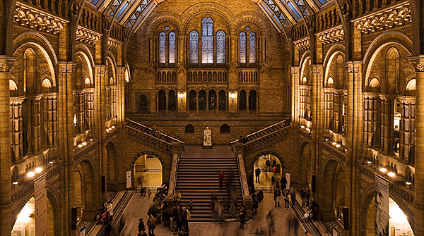 Inside the Natural History Museum