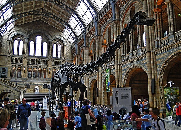 Dippy the dinosaur, NHM, London