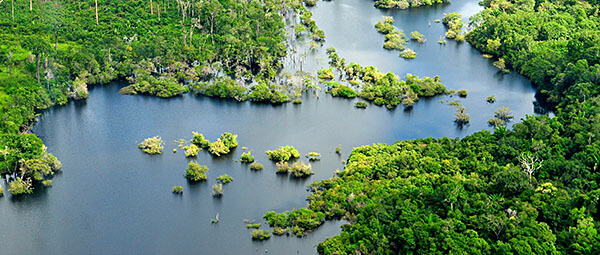 The Amazon River