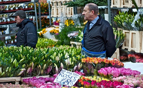 Stall on the Columbia Road Flower Market in London