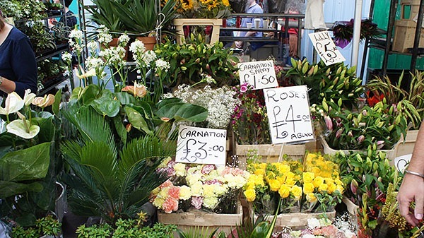 Stall on the Columbia Road Flower Market in London