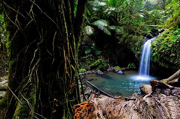 Natural pool in El Yunque rainforest