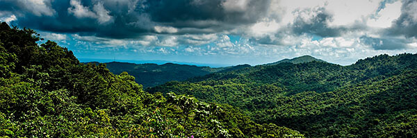 The view over El Yunque rainforest in Puerto Rico