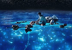 Swim amongst fluorescent plankton Asia Eyeflare com