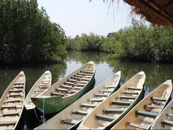 Canoes ready for the river