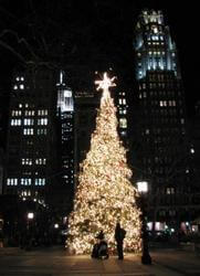 A christmas tree in New York City