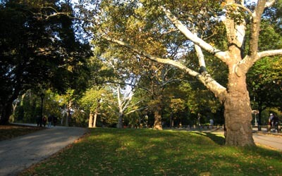 Central Park, New York