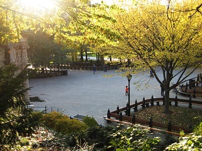 Central Park, New York