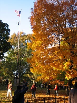 Central Park, New York